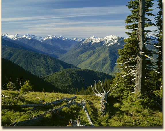 Elwha Valley, Hurricane Ridge