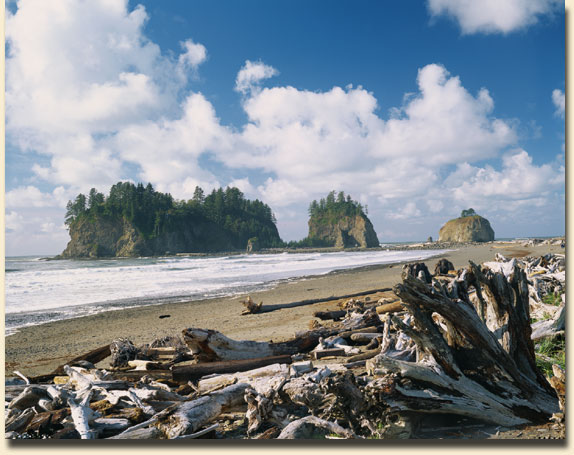 First Beach