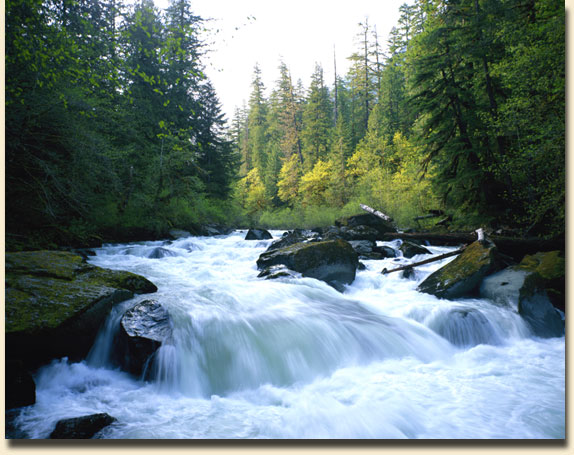 Staircase Rapids