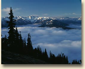 McCartney Peak