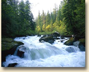 Staircase Rapids