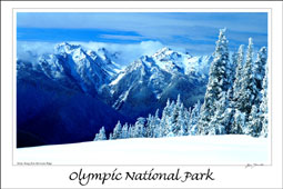 Bailey Ran, Hurricane Ridge