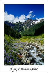 Mount Anderson, White Creek Basin