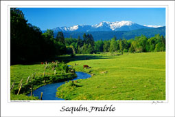 Sequim Valley