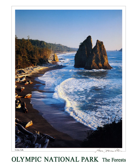 Rialto Beach 20x24 Poster